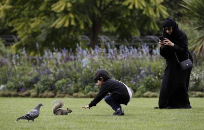 Un niño intenta dar de comer a una ardilla gris, en el Hyde Park de Londres (Reino Unido). 