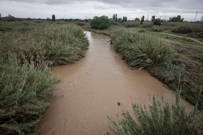 El río Llobregat este martes a su paso por Sant Boi de Llobregat (Barcelona).