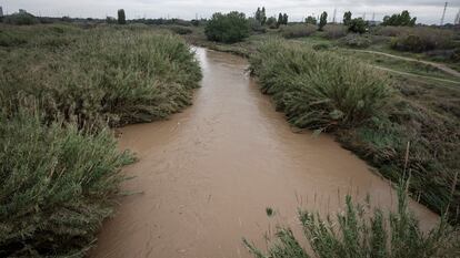 El río Llobregat este martes a su paso por Sant Boi de Llobregat (Barcelona).