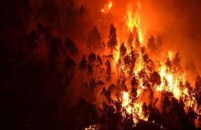 Un bosque en llamas durante el incendio forestal cerca de la aldea de Mega Fundeira.