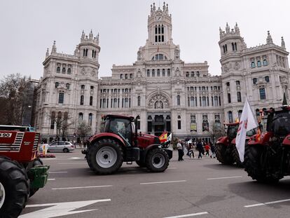 Varios tractores a su paso por la plaza de Cibeles, durante la protesta de agricultores y ganaderos este domingo en Madrid.
