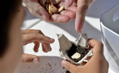 Los movimientos alimentarios locales contribuyen a la sostenibilidad ambiental de los sistemas de producción alimentaria.