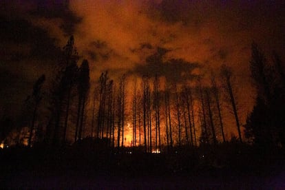 El fuego inició el pasado martes en un sector conocido como Las Golondrinas, casi al mismo tiempo de que comenzó otro incendio en el Cerro Radal que se descontroló por la acción del viento y las altas temperaturas.