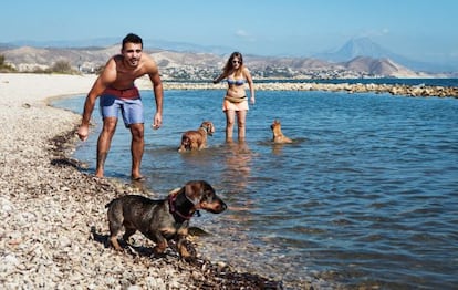 Playa Punta del Riu, en El Campello (Alicante).