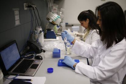 Dos t&eacute;cnicos de laboratorio, en una empresa andaluza de biotecnolog&iacute;a. 