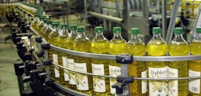 Línea de envasado en una cooperativa de Hojiblanca en Antequera.