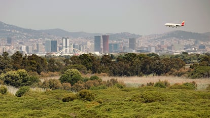 Un avión se disponía a aterrizar el martes en el aeropuerto de El Prat.