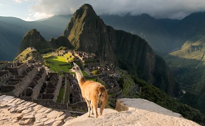 La ciudad inca de Machu Picchu, en los Andes de Perú.