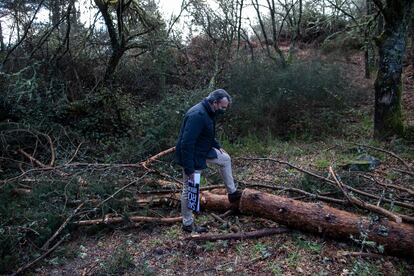 Un vecino comprueba un árbol talado junto al Monasterio de San Pedro de Rocas, en Esgos (Ourense), en una zona BIC.