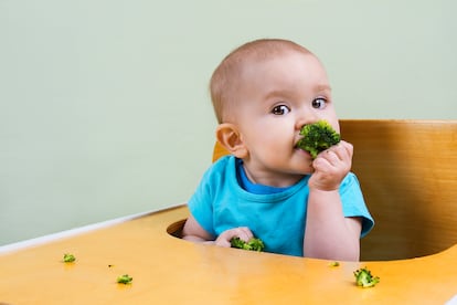 El brócoli dejaría de provocar el tradicional recelo en los menores si se acostumbraran a su olor y sabor desde la trona.