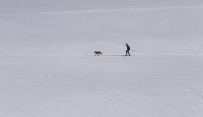 Un esquiador de fondo pasea con su perro cerca de Marktoberdorf (Alemania).