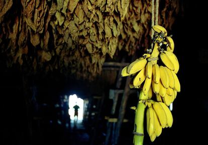 'Al Campo' retrata a los más viejos, sus arrugas, pero también a los más jóvenes, a los niños, los animales y los productos de una tierra muy viva