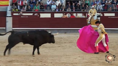 Uno de los toros analizados, en una imagen de vídeo de la corrida celebrada en Las Ventas el 25 de mayo de 2014.