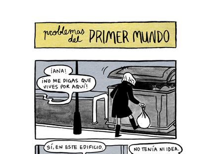 Problemas del primer mundo