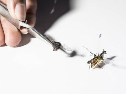 RoboFly es un poco más grande que una mosca real.