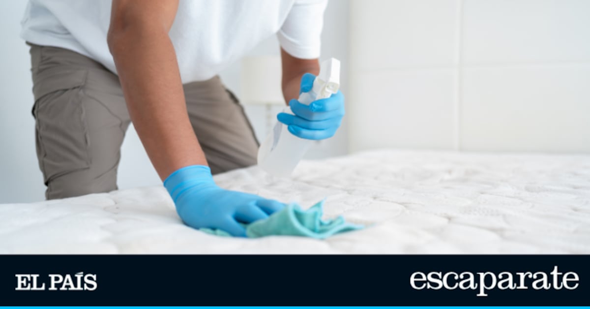 Di adiós a los ácaros y chinches con un solo producto: este es el espray top ventas de Sanytol