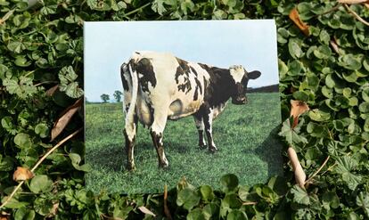 Porta del disco 'Atom Heart Mother'.