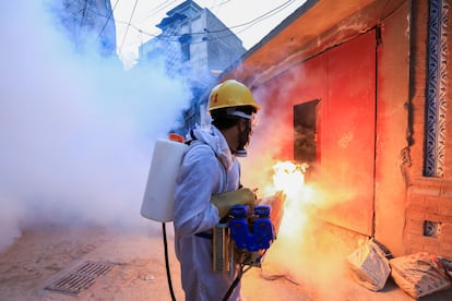 Un trabajador fumiga una calle en Peshawar, Pakistán, para detener un brote de dengue.