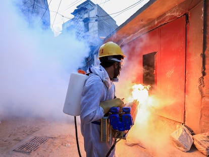 Un trabajador fumiga una calle en Peshawar, Pakistán, para detener un brote de dengue.