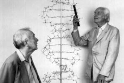 Francis Crick (derecha) y James Watson posan en el laboratorio Cold Spring Harbor.