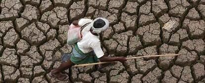 Un pastor camina a través del fondo del embalse de Himayatsagar, seco y cuarteado por la sequía, en Hyderabad, capital del Estado de Andhra Pradesh (India).