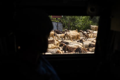 En la zona patrullada por las tropas españolas viven refugiados sirios de la guerra, que se siguen dedicando a la ganadería, pese al riesgo que supone el fuego cruzado entre Israel y Hezbolá. Diego Ibarra Sánchez para el PAÍS