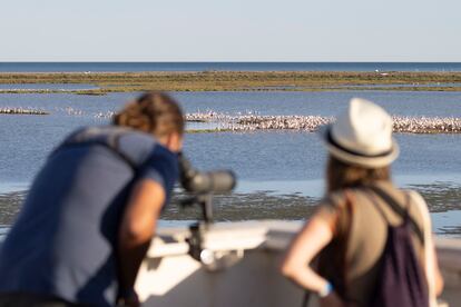 Visitantes del Delta Birding Festival observando flamencos la pasada edición.