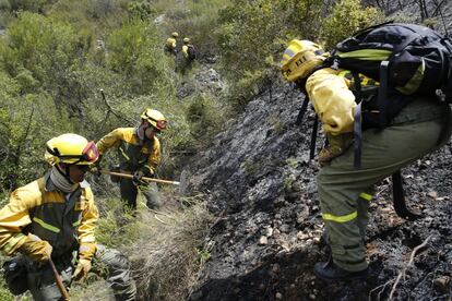 Brigadistas intentan durante las labores de extición entre los términos de Carcaixent y La Barraca d'Aigës Vives.