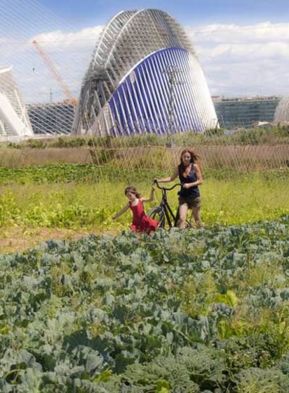 La Huerta Sur de Valencia, con el perfil arquitectónico de la Ciudad de las Ciencias<b> al fondo.</b>