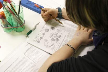 Los estudiantes aprenden, además de las asignaturas que más les cuestan, habilidades para el estudio en Tu Tutor en Casa, en Madrid.