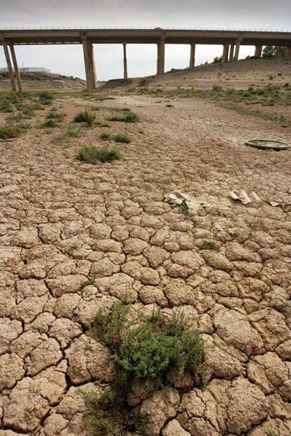 Efectos de la sequía en el embalse de María Cristina, en L'Ancora (Castellón).