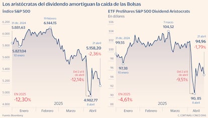 Los aristócratas del dividendo amortiguan la caída de las Bolsas