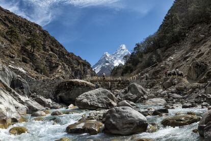 Llegar a lo más alto de la tierra requiere, a veces, escalar, pero no siempre. En otros casos basta con caminar, y caminar y caminar. Existen rutas de trekking que, aunque requieran estar muy bien preparados, se pueden completar y conducen hasta algunas de las cumbres más altas de varios continentes, sorteando la sutil línea que separa, a esta altitud, el senderismo y el montañismo. Por ejemplo, en la región del Khumbu, en Nepal, ante montañas tan bellas e imponentes como Ama Dablam (en la foto).