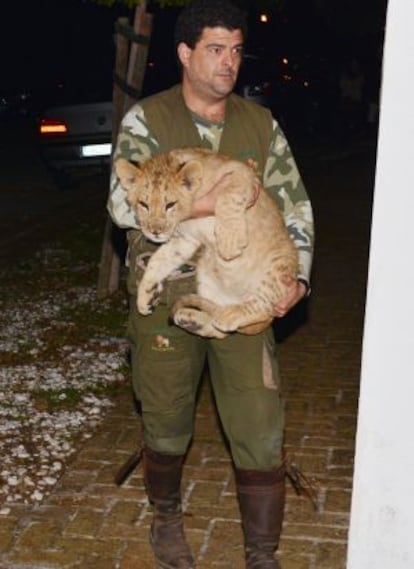 Uno de los cachorros de le&oacute;n que fue sacado de la fiesta en casa de Kiko Rivera.