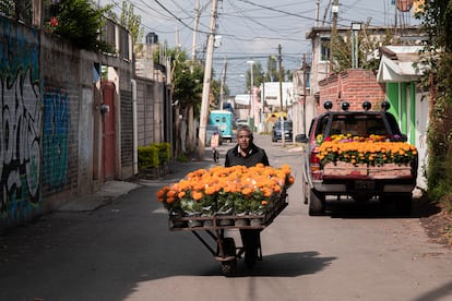 Un hombre transporta flores rumbo al mercado de plantas de San Luis Tlaxialtemalco.