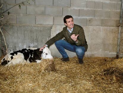 PP leader Pablo Casado on the campaign trail.