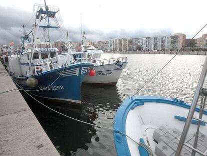 Barcos de pesca, atracados ayer en el puerto de Algeciras.