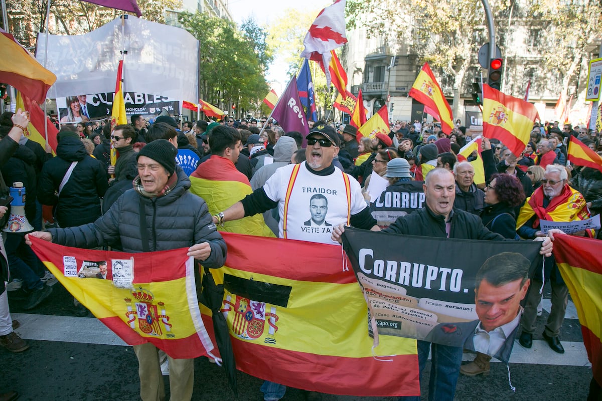 Crisis en la rama juvenil de Vox entre denuncias de desvío de los fondos  recaudados para las víctimas de la dana | España | EL PAÍS