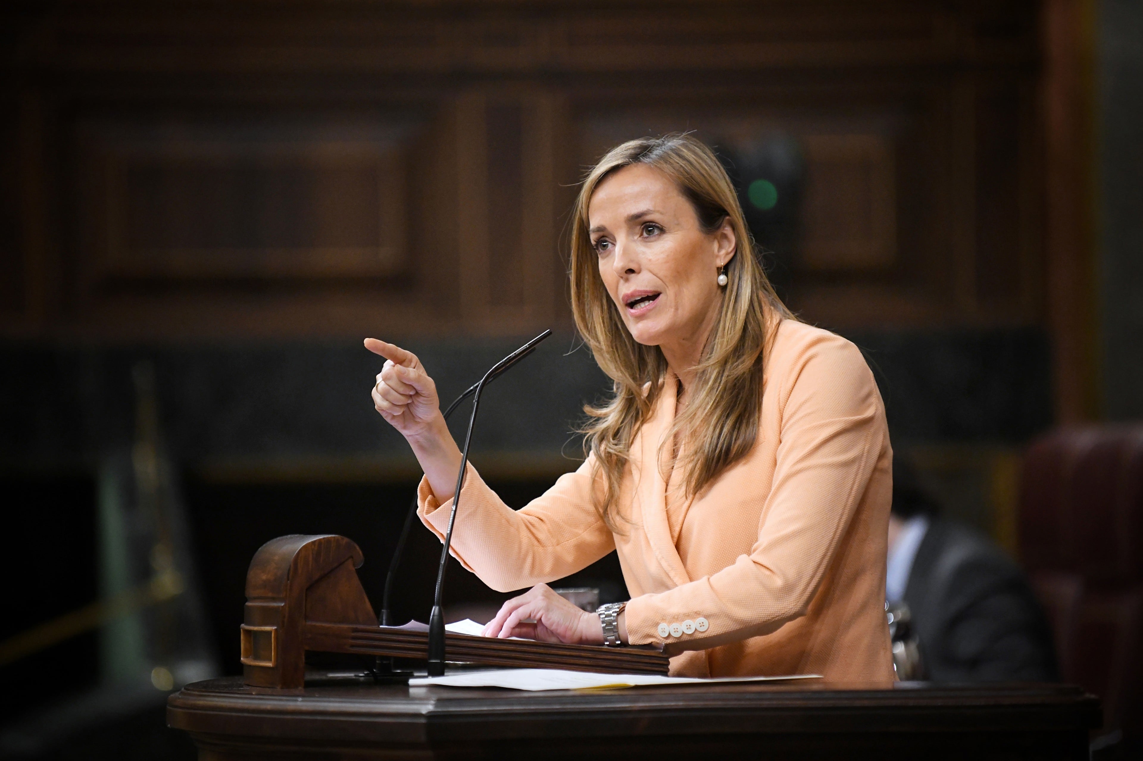 The PP is unmarked from the regulation of the ‘lobbies’ in Congress because the PSOE « is not legitimized » | Spain