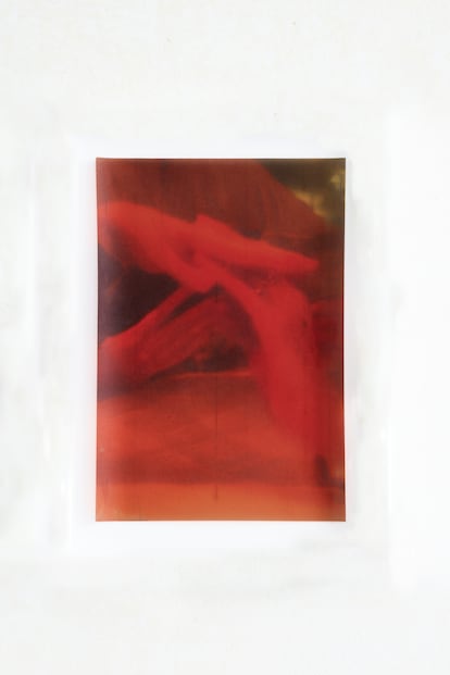 'Amber', de Maximilian F. Seegert.