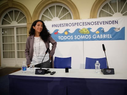 Patricia Ramírez, madre de Gabriel Cruz, en una rueda de prensa en Almería el sábado 11.
