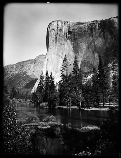 Fotografía atribuida a Ansel Adams que pertenece al lote comprado por Rick Norsigian por 45 dólares (Norsigian Collection).