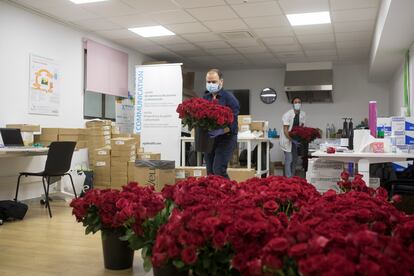 Rosas en el Hospital Clínic para los pacientes y personal sanitario.