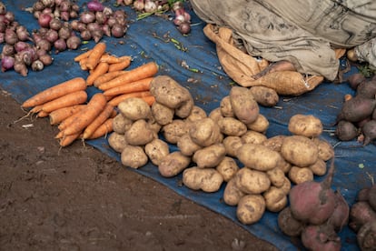 Las mujeres sienten más la inseguridad alimentaria porque es en ellas en quienes recae la responsabilidad de alimentar a la familia. Mientras que el 90% de los hombres de entre 31 y 60 años tiene acceso a tierras, solo el 86% de las mujeres adultas, en el mismo rango de edad, lo tiene. En el caso de las personas de entre 16 y 30 años, la diferencia entre hombres y mujeres es del 74% frente al 70%. En periodos de escasez de alimentos, el 71% de las personas solo pueden hacer dos comidas diarias, con un número significativamente mayor de jóvenes (74%) que de adultos (58%). Este problema afecta más a mujeres jóvenes (87%) que a hombres jóvenes (65%).