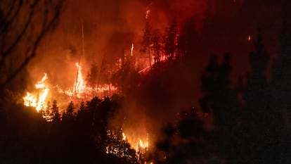 Incendio en Epuyen, en la provincia de Chubut, Argentina, el 9 de enero.