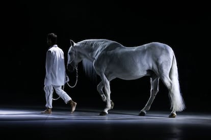 El caballo blanco sobre la pasarela de Jacquemus.