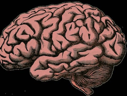 Los malos usos de la neurociencia