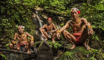 Tres mentawai.