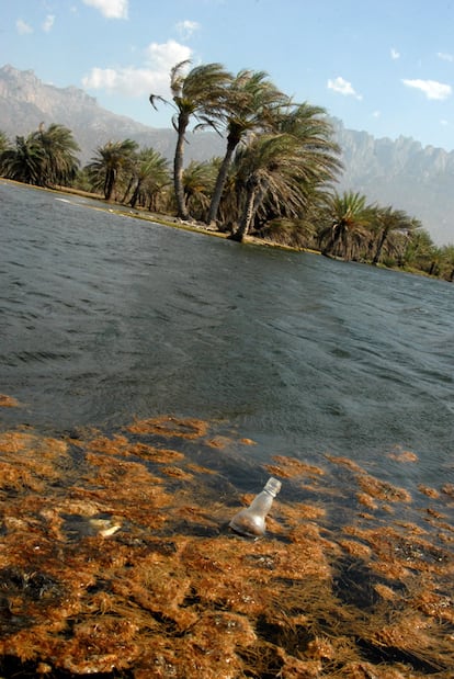 La isla de Socotra, en Yemen, rodeada de basura plástica.