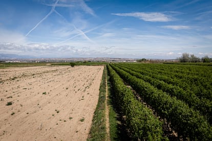 sequía cataluña